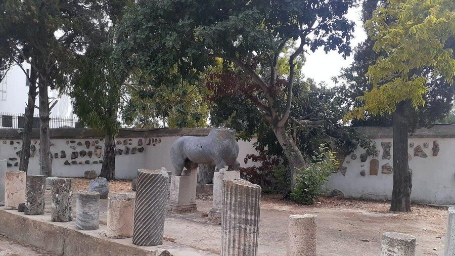 Ancient Carthage and Sidi Bou Said Tour with Lunch