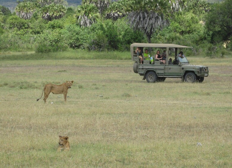 Picture 3 for Activity Three Days Safari To Mikumi National Park (Driving Safari)