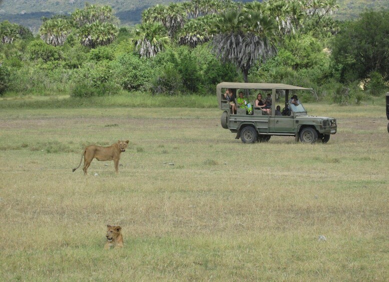 Picture 3 for Activity 3-Days Safari To Mikumi National Park (Driving Safari)