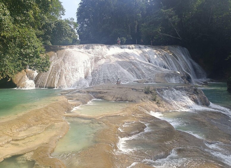 Picture 4 for Activity Roberto Barrios Waterfalls from Palenque