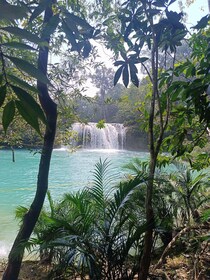 Cascadas de Roberto Barrios desde Palenque