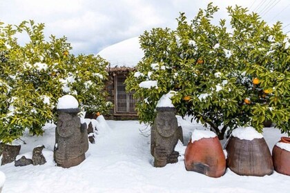 Jeju: Eastern UNESCO Sites Tour with Haenyeo Show