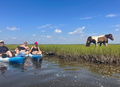 Berlin, MD: Full-, Half, or Quarter-Day Kayak Rental