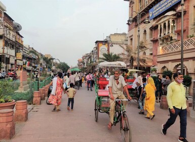 Old Delhi: Half-day Private Chandi Chowk and Temples Tour