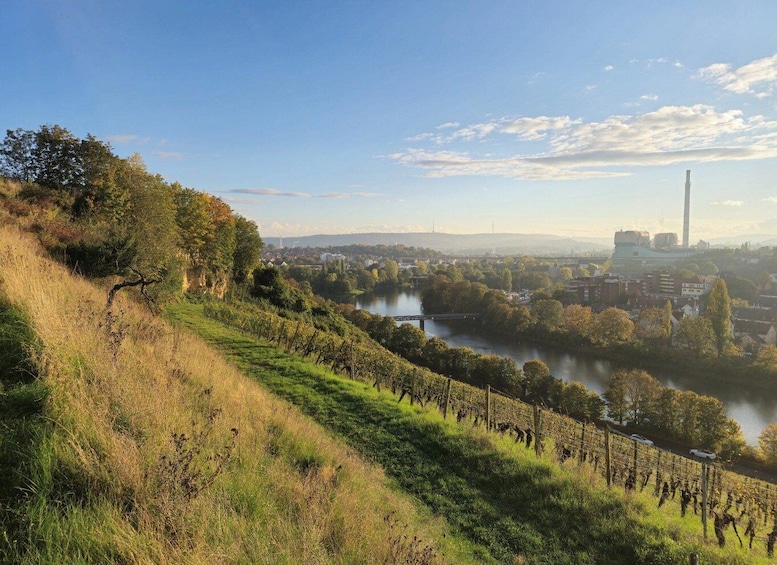 Picture 1 for Activity Stuttgart: BBQ & Sunset Tour on the Neckar