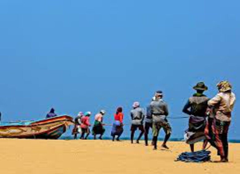 Picture 3 for Activity Negombo City Highlights with Traditional Catamaran Ride