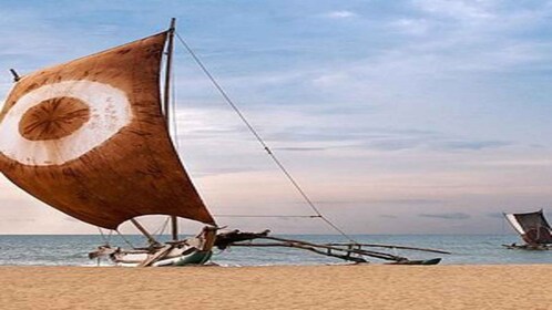 Negombo City Highlights with Traditional Catamaran Ride