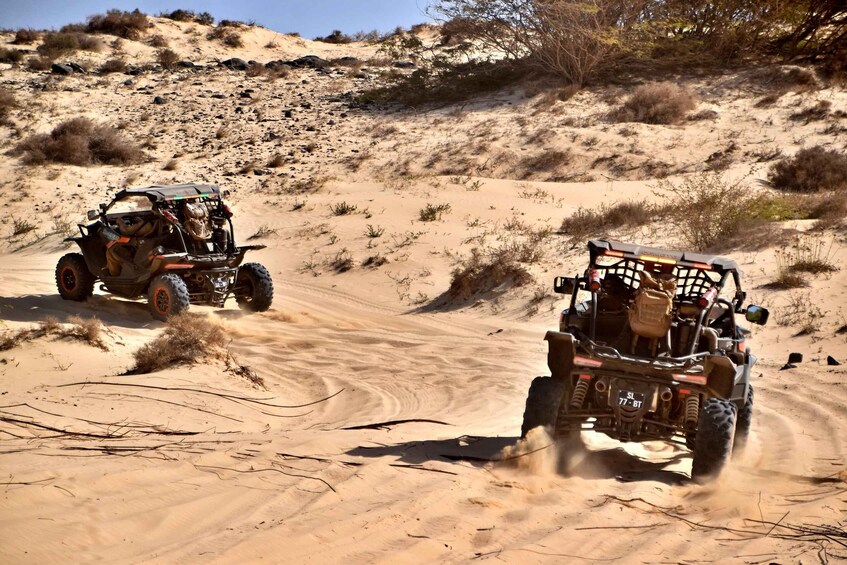 Picture 5 for Activity Boa Vista: 2-Hour Buggy 1000cc North Island Adventure