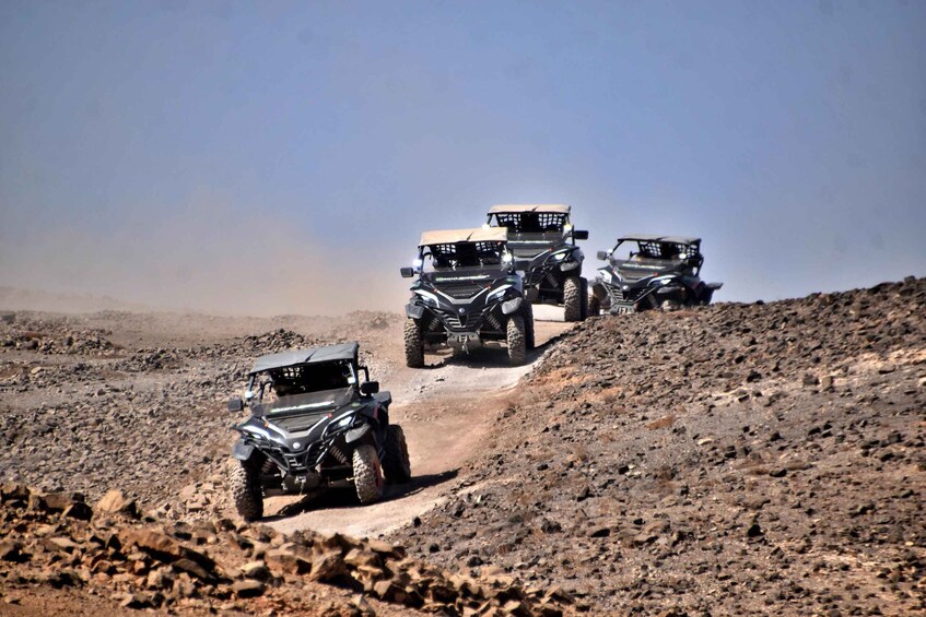 Picture 9 for Activity Boa Vista: 2-Hour Buggy 1000cc North Island Adventure