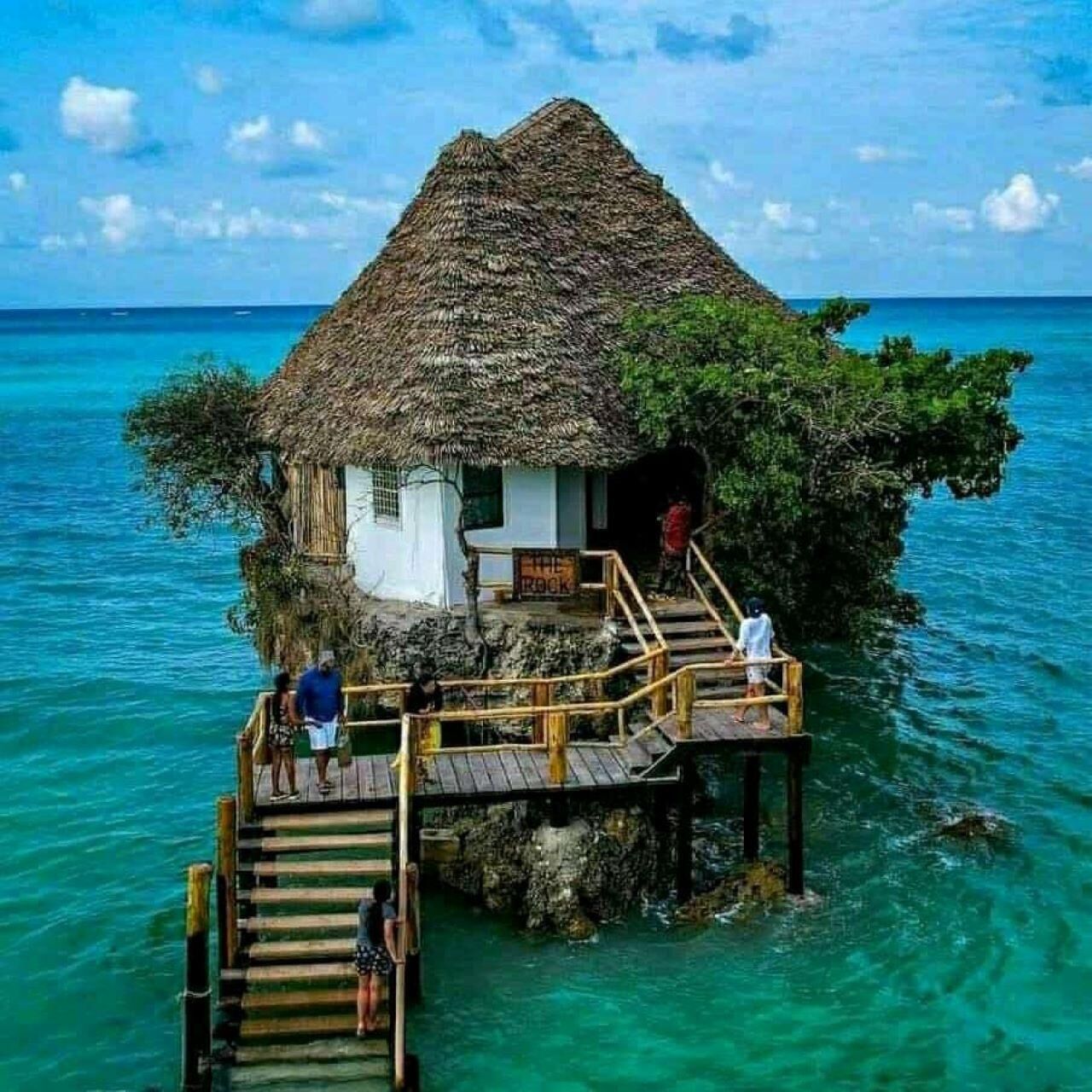 Picture 4 for Activity Starfish Tour, The Rock, Paje Beach, Jozan Tour, Salaam Cave