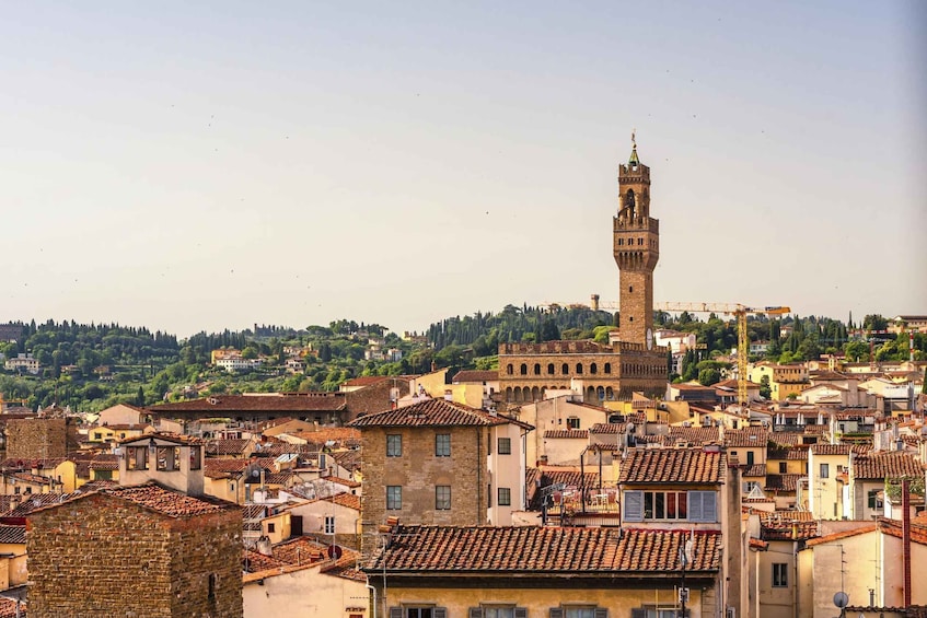 Picture 6 for Activity Florence: Private Exclusive History Tour with a Local Expert