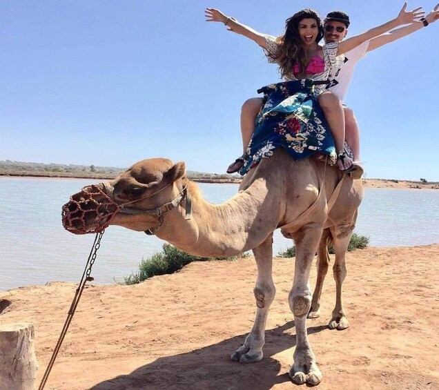 Picture 3 for Activity From Agadir or Taghazout : Camel Ride at the Sunset