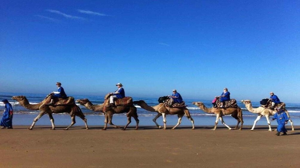 Picture 5 for Activity From Agadir or Taghazout : Camel Ride at the Sunset