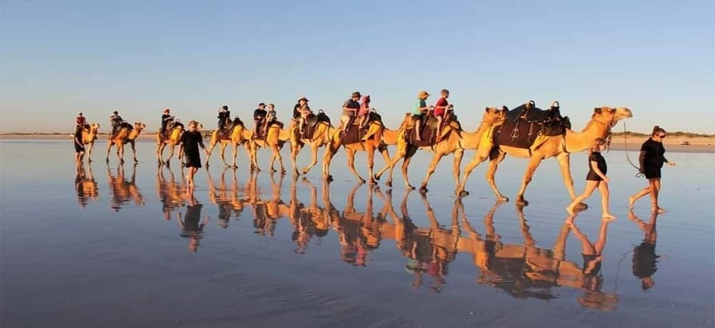 Picture 2 for Activity From Agadir or Taghazout : Camel Ride at the Sunset