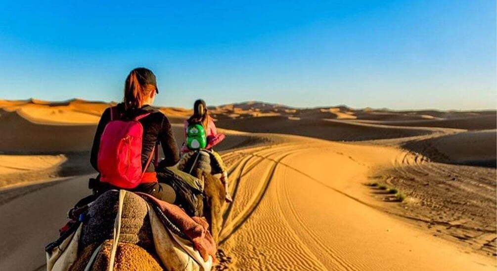 Picture 1 for Activity From Agadir or Taghazout : Camel Ride at the Sunset