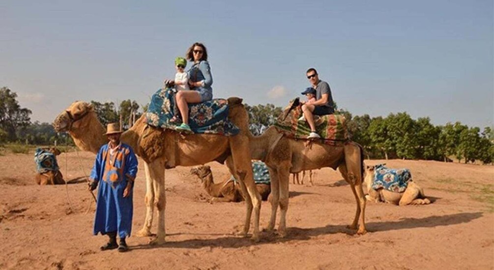 Picture 4 for Activity From Agadir or Taghazout : Camel Ride at the Sunset