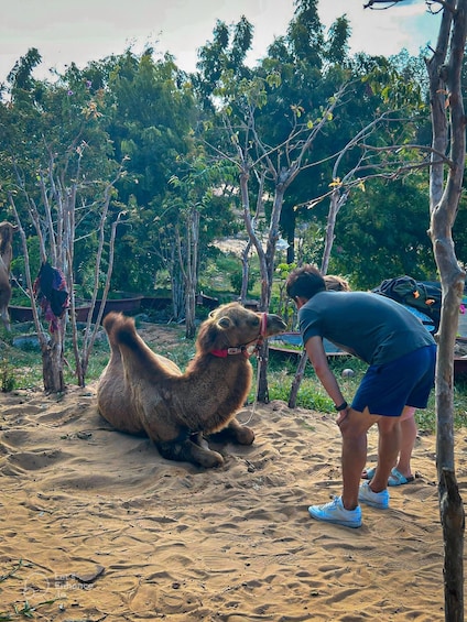 Picture 16 for Activity Mui Ne: Private Sand Dunes Jeep Tour at Sunrise or Sunset