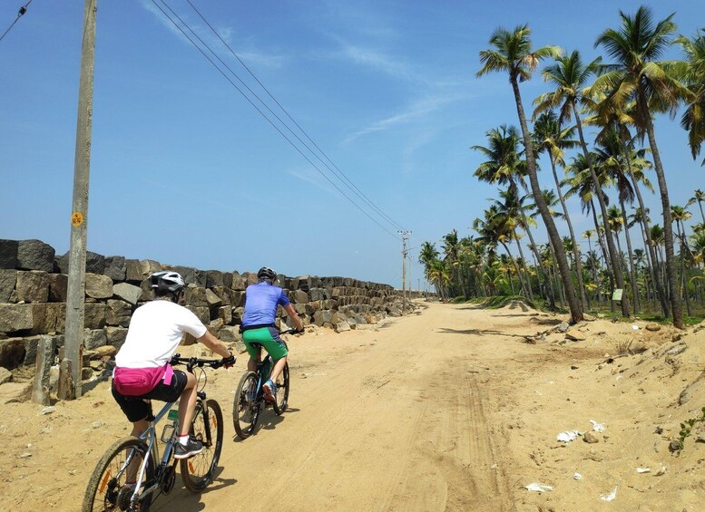 Picture 11 for Activity Fort Kochi & Kumbalangi/ Kadamakudy Cycling Tour (Full Day)