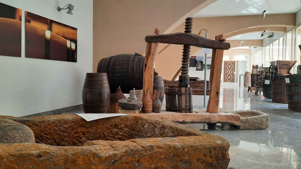 Picture 3 for Activity Berchidda: Visit to the Wine Museum with Wine Tasting