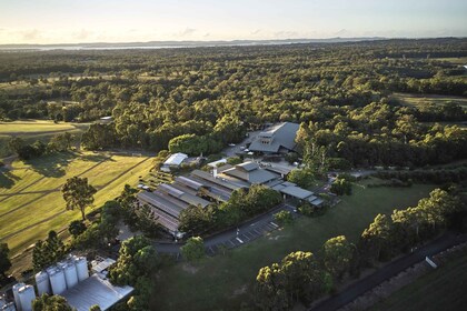 Mount Cotton: Sirromet Winery Tour maisteluineen ja lounaineen: Sirromet Wi...