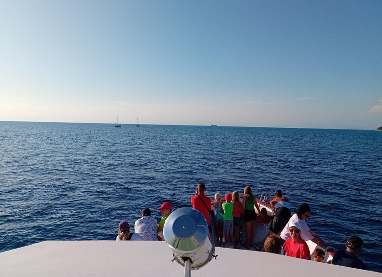 Picture 2 for Activity Umag: Sunset Cruise with Dolphin Spotting