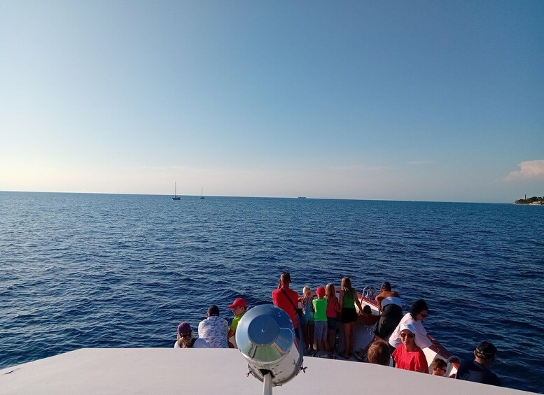 Picture 2 for Activity Umag: Sunset Cruise with Dolphin Spotting