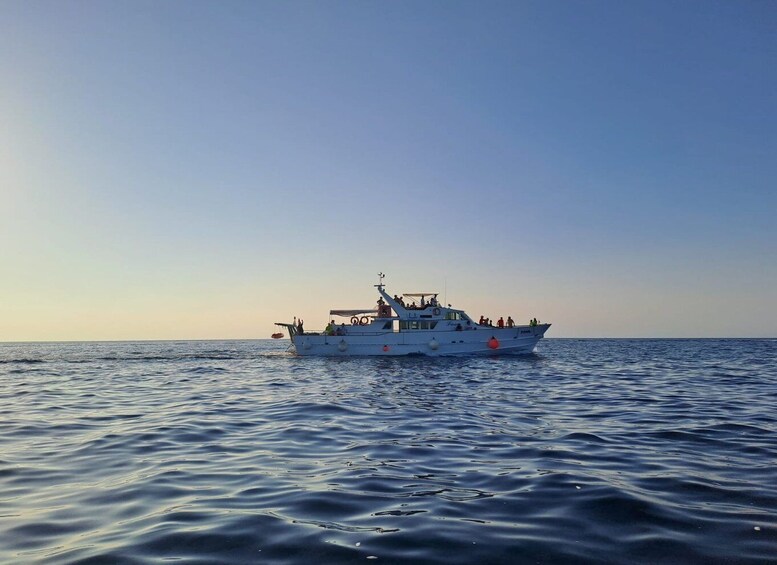 Picture 1 for Activity Umag: Sunset Cruise with Dolphin Spotting