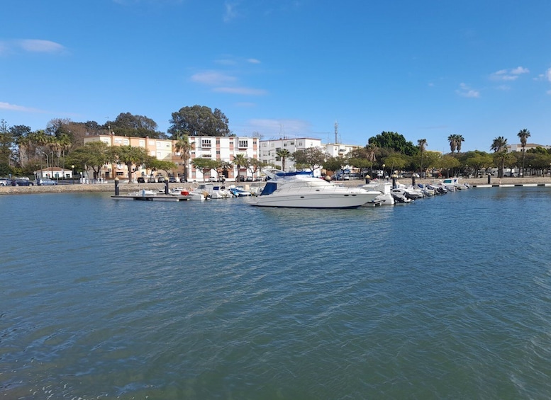 Picture 15 for Activity From Algarve: Private Ayamonte Van Tour