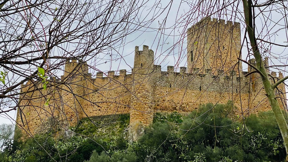 Tomar: Castle of Almourol Private Tour