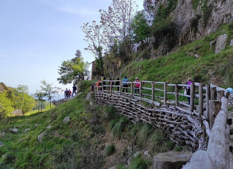 Picture 5 for Activity From Sorrento: Path of the Gods Hike with Tasting Stop