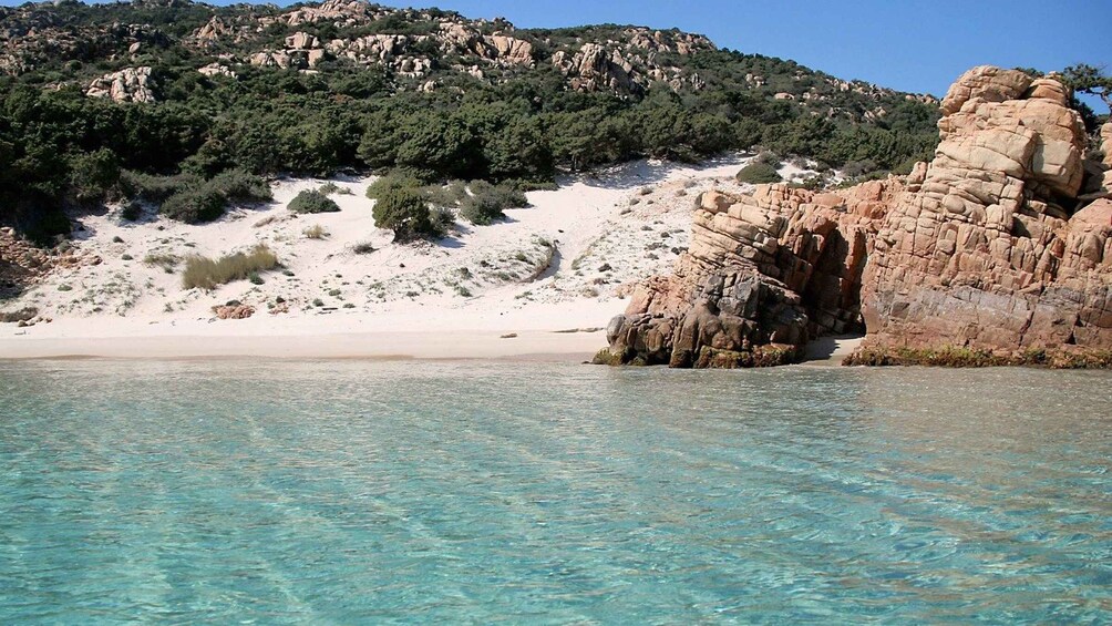 Picture 3 for Activity From Palau: Sailboat tour in La Maddalena Archipelago