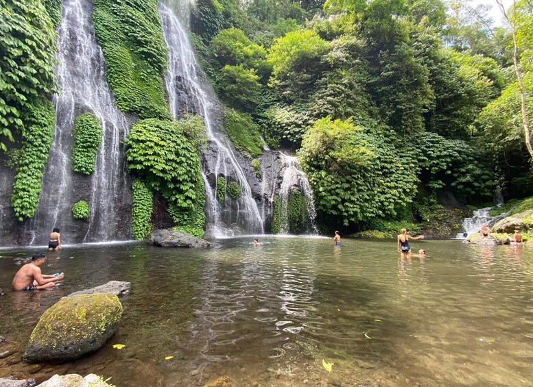 Picture 3 for Activity Bali: North Island Private Day Tour with Banyumala Waterfall