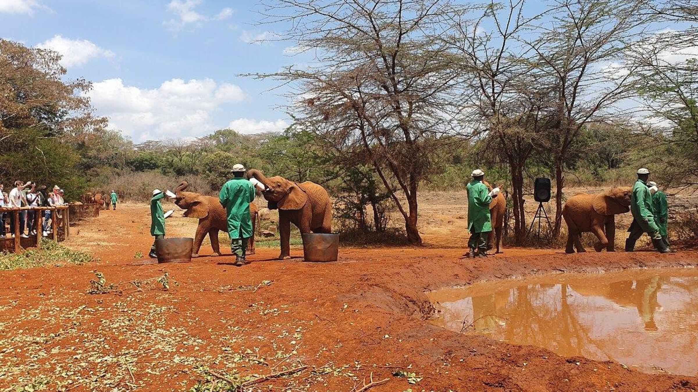 Elephant Orphanage,Beads Centre & Nairobi National Museum