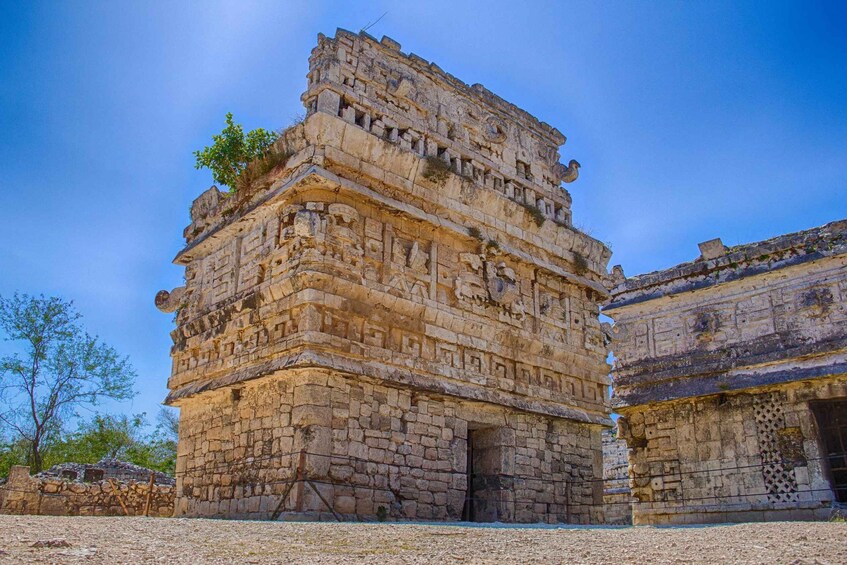 Picture 4 for Activity Full day Tour to Chichen Itza and Coba with Cenote Swimming