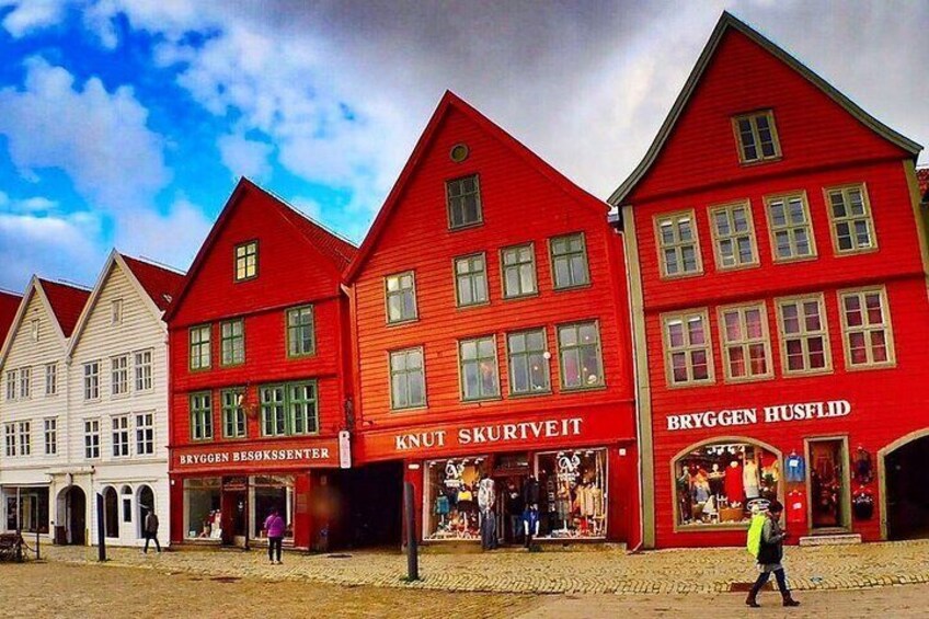 2 Hour Private Guided Walking Tour of Bergen