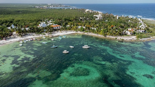 Akumal Strand: Svømning med skildpadder Tur med strandtid