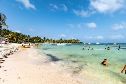 Playa de Akumal: recorrido para nadar con tortugas con tiempo en la playa