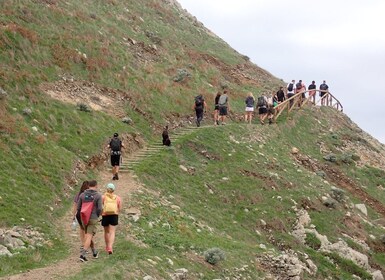 Randonnée Porto Santo - Terra Chã excursion