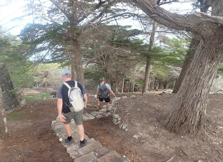 Picture 4 for Activity Porto Santo - Terra Chã Hiking Tour