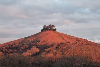 7 Hours Full Day Tour of West Dorset