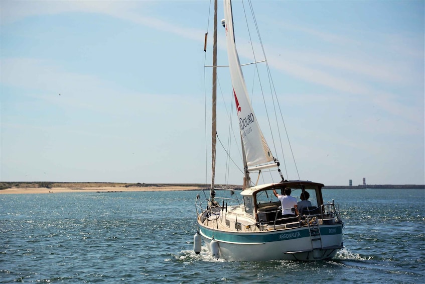 Picture 10 for Activity Porto: Private Sail on Douro River (Sunset Time Available)