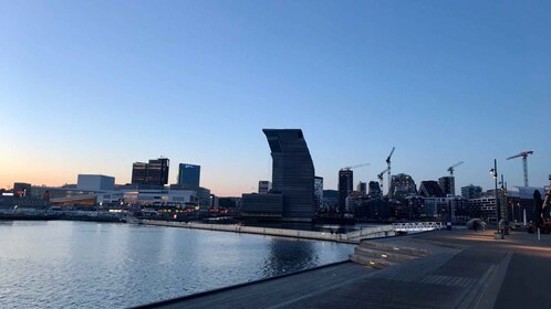 Oslo: Panoramic View and Sculpture Park Walk