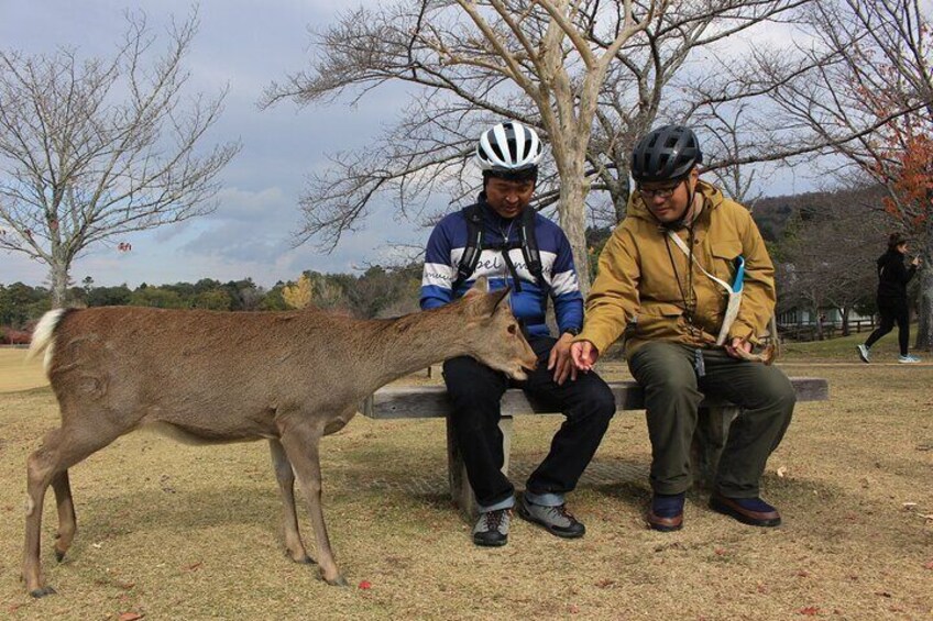 Private Bike Tour in Nara with Japanese Guide