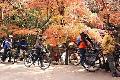 Private Bike Tour in Nara with Japanese Guide