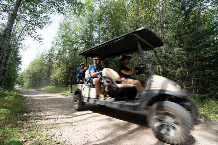 2 hour Waskesiu Zipline Morning Adventure 