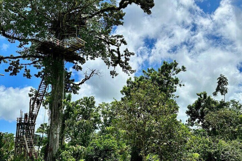 2in1: Los Haitises National Park + Yanigua Waterfall-SPA