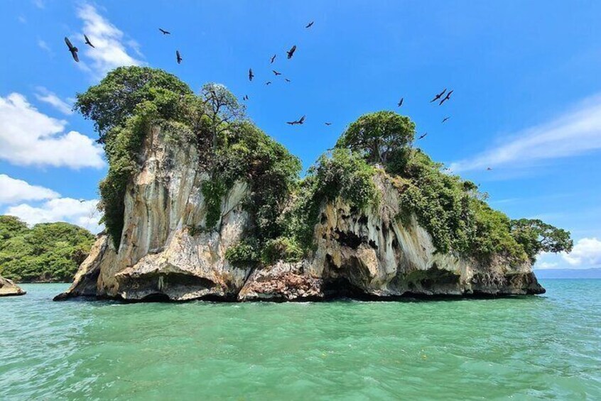 2in1: Los Haitises National Park + Yanigua Waterfall-SPA