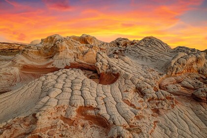 Kanab: White Pocket Tour & Hike