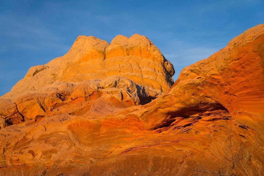 Picture 3 for Activity Kanab: White Pocket Tour & Hike