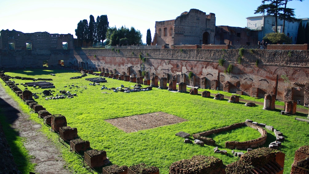 Colosseum in Rome, Italy